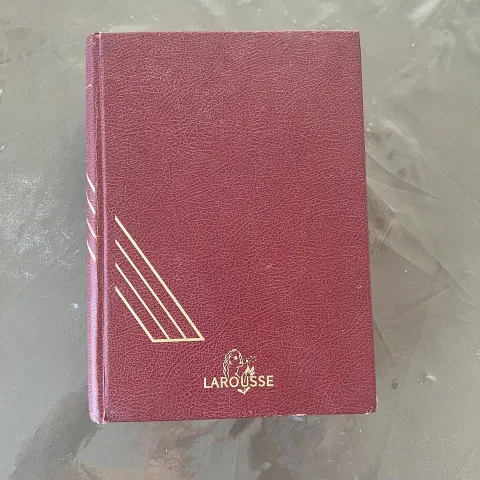 Larousse English Dictionary